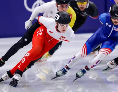 Miniatura: Felix Pigeon walczy o sukces na...