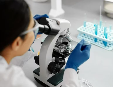 Miniatura: Polscy onkolodzy z ważnym odkryciem. „Krok...