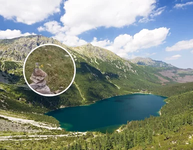 Miniatura: Pokazał nagranie z Tatr i w komentarzach...