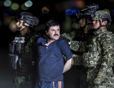 Miniatura: Prawdziwa historia El Chapo. Jak handlarz...