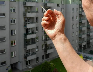 Miniatura: Szara strefa wraca do gry. Polacy znów...