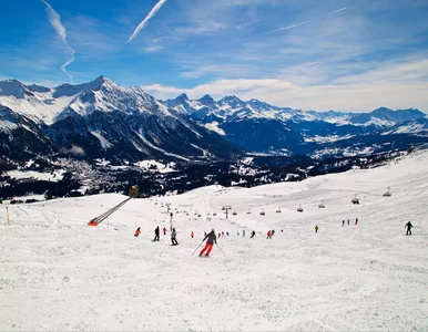 Miniatura: Pokonał nawet St. Moritz. To najlepszy...