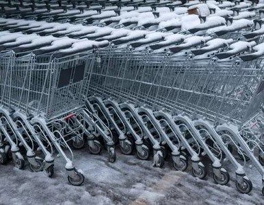 Miniatura: Czy dziś jest niedziela handlowa? Gdzie...