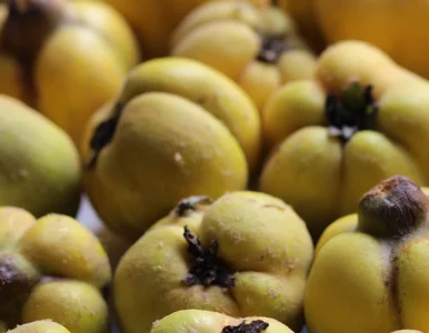 Miniatura: Cytryna może się schować. W listopadzie...