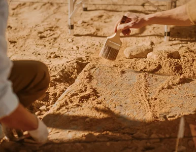 Miniatura: Szokujące wyniki badań. Kogo naprawdę...