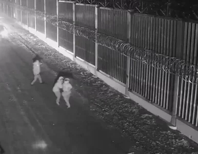 Miniatura: Atak migrantów przy granicy...