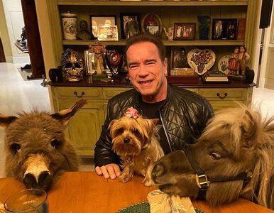 Schwarzenegger zachęca do zostawania w domach. Pomagają mu... osioł i koń