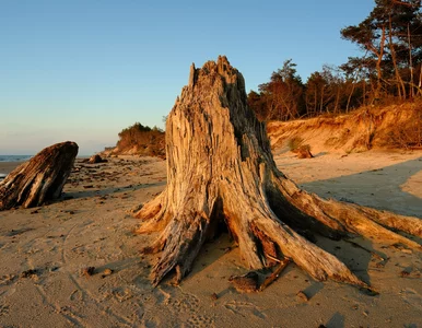 Miniatura: Polacy pokochali to miejsce nad morzem....