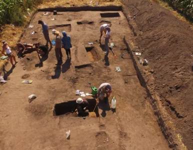 Miniatura: Megabuty znalezione przez archeologów....