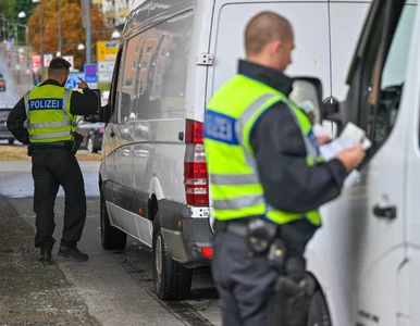 Miniatura: Ostre reakcje Niemiec po ruchu Polski....