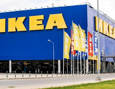 Miniatura: IKEA komentuje wyrzucenie Karolaka ze...