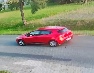 Miniatura: Potrąciła 12-latkę jadącą na rowerze i...