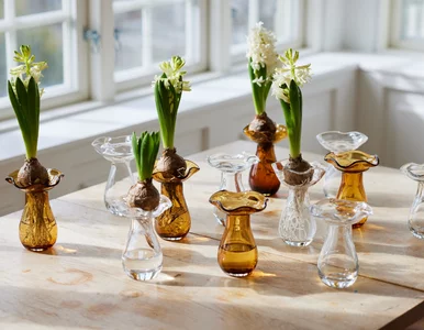 Miniatura: Ich zapach czuć w całym mieszkaniu....