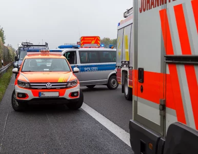 Miniatura: Polka skazana na dożywocie za wypadek...