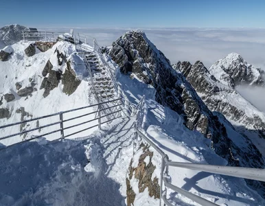 Miniatura: Wycieczka z końmi, ale nie nad Morskie...