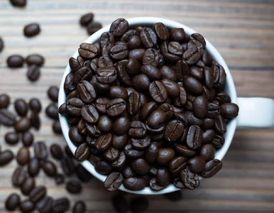 Miniatura: Od dzisiaj w Lidlu wszystkie kawy aż 60%...