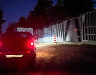 Miniatura: Migranci nie mogli nielegalnie pokonać...