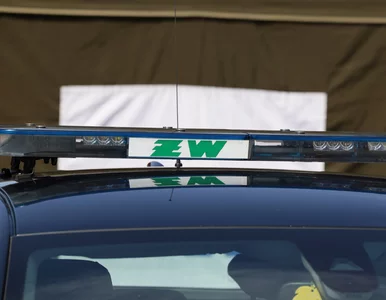 Miniatura: Szczątki obiektu przypominającego drona....