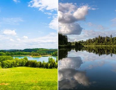 Miniatura: Na Podlasiu szykuje się prawdziwy hit. Tym...