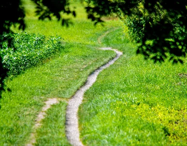 Miniatura: Niepokojący odór w Bawarii. Nikt nie zna...