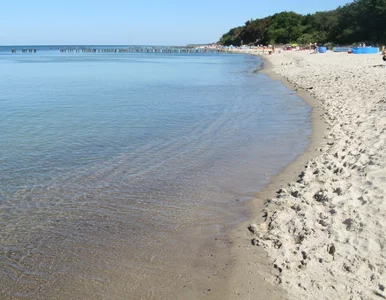 Miniatura: Największe złoże ropy w Polsce. Ekspert...