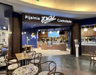 Miniatura: Rzemieślnicze lody dla psów? Ta sieć...