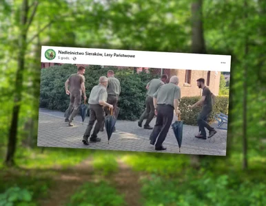 Miniatura: Nadleśnicy założyli grupę taneczną....