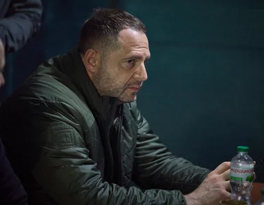 Miniatura: Polityczne trzęsienie ziemi w Ukrainie....