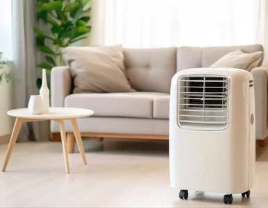 Miniatura: Przenośna „klima” na ratunek w czasie...