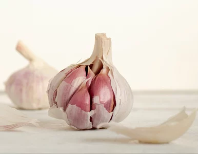 Miniatura: Ziemiórki w doniczkach? Ten trik z...