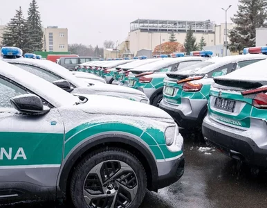 Miniatura: Afera w Komendzie Głównej Straży...