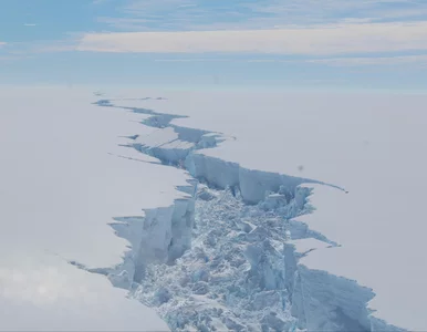 Miniatura: Ziemski termostat wymknął się spod...