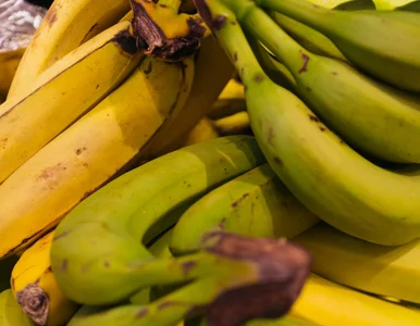 Miniatura: Żółte czy zielone banany lepsze na...
