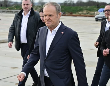 Miniatura: Tusk szuka współpracownika. Tyle można...