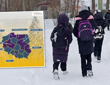 Miniatura: Odwołane lekcje w sporej części Polski....