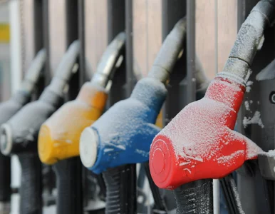 Miniatura: Najbogatszy Polak otworzy sieć stacji...