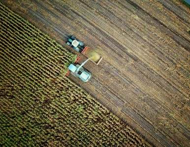 Miniatura: Już nie silos. Rolnictwo w Polsce musi...