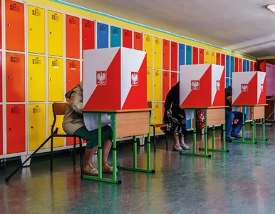 Miniatura: Liczy się tylko „X”. Głosowanie w wyborach...