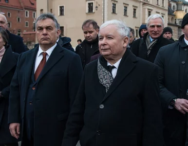 Miniatura: Orban może stracić władzę. W PiS mówią o...