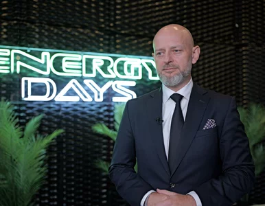 Miniatura: Jaka będzie przyszłość polskiego rynku...