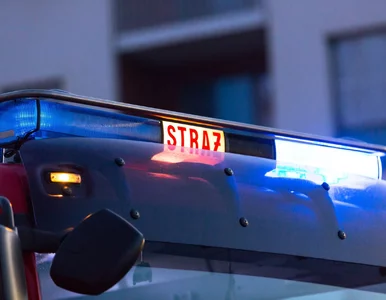 Miniatura: Pożar elewacji galerii handlowej,...