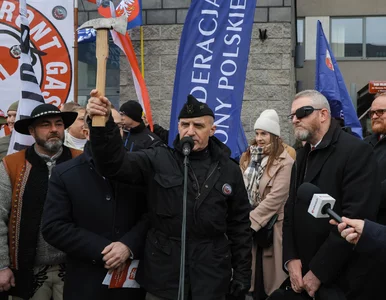 Miniatura: Braun stanął przed sądem, wykonał...