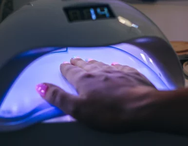 Miniatura: Dermatolog ostrzega przed hybrydą. Jest...