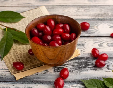 Miniatura: Jeden z najzdrowszych owoców świata rośnie...