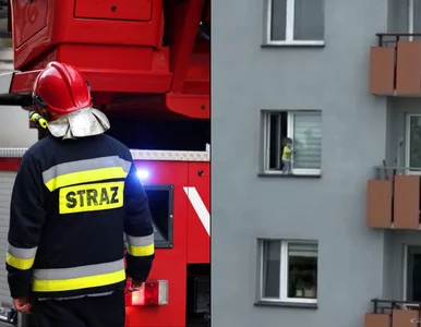 Miniatura: Chwile grozy w Stalowej Woli. 1,5-roczne...