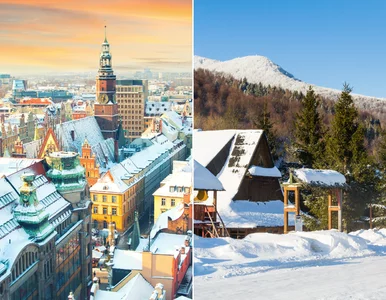 Miniatura: Bilety za 1 zł do polskich miast. Tym...