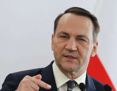 Miniatura: Gorzkie słowa węgierskiego ministra o...