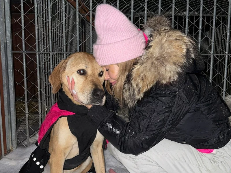 Doda mówi „stop”. Dramatyczne wyznanie gwiazdy po walce z patoschroniskami