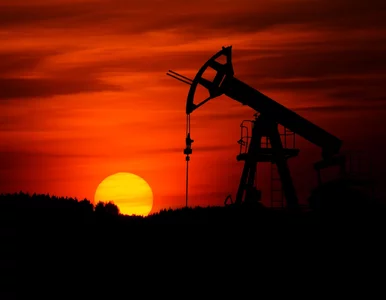 Miniatura: Trump uderzył w Wenezuelę. Co z cenami...