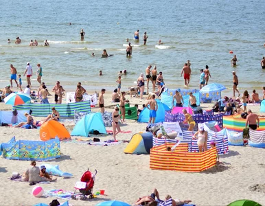Miniatura: Skandaliczne zachowanie turystów na...